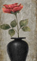 Image Not Available